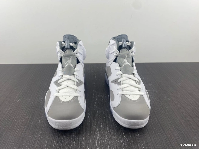Grey Cool Jordan Air 6 CT8529-100 1213